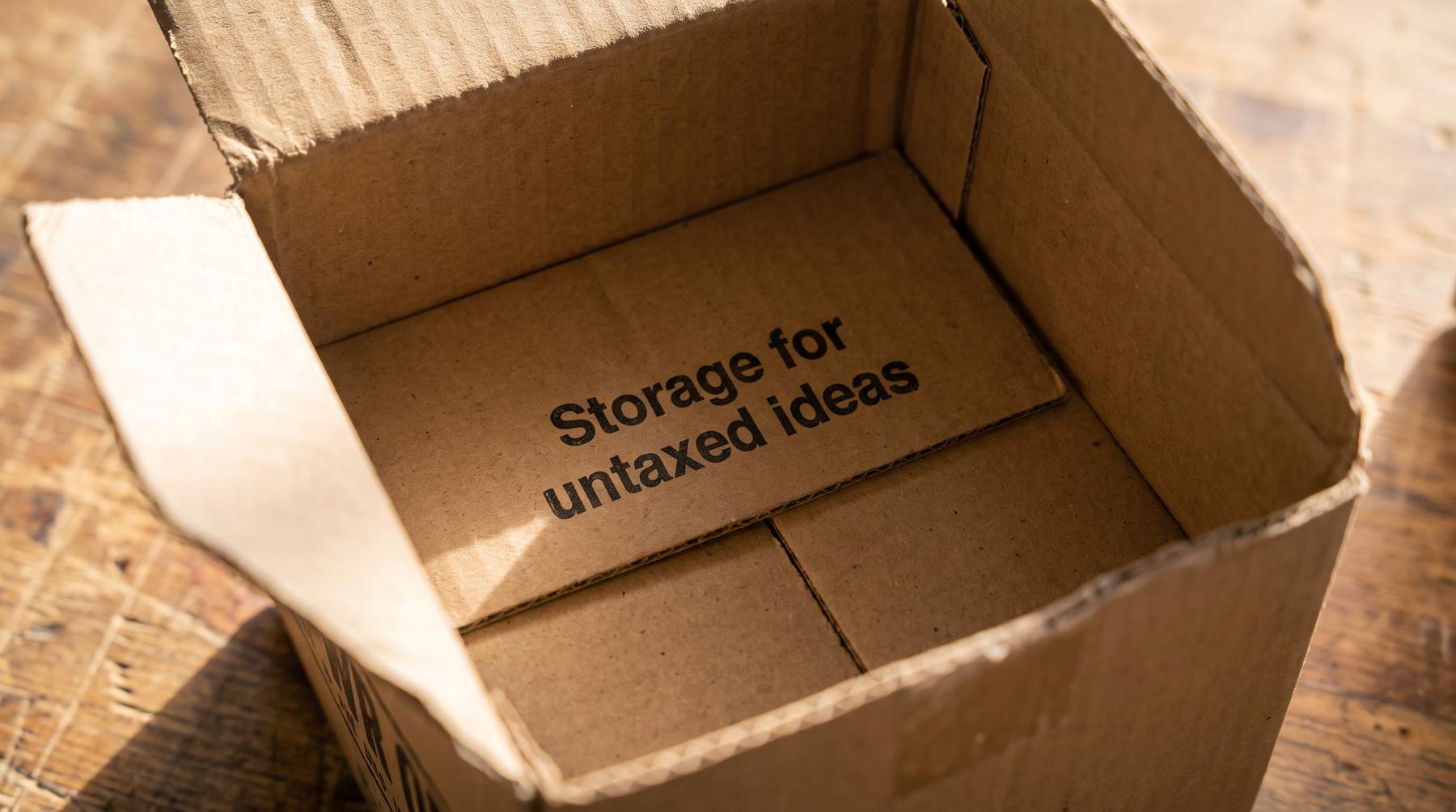 Looking down into an open cardboard box, the bottom reads Storage for untaxed ideas
